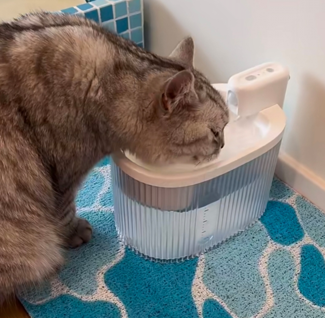 Lena B. mit Kater Felix