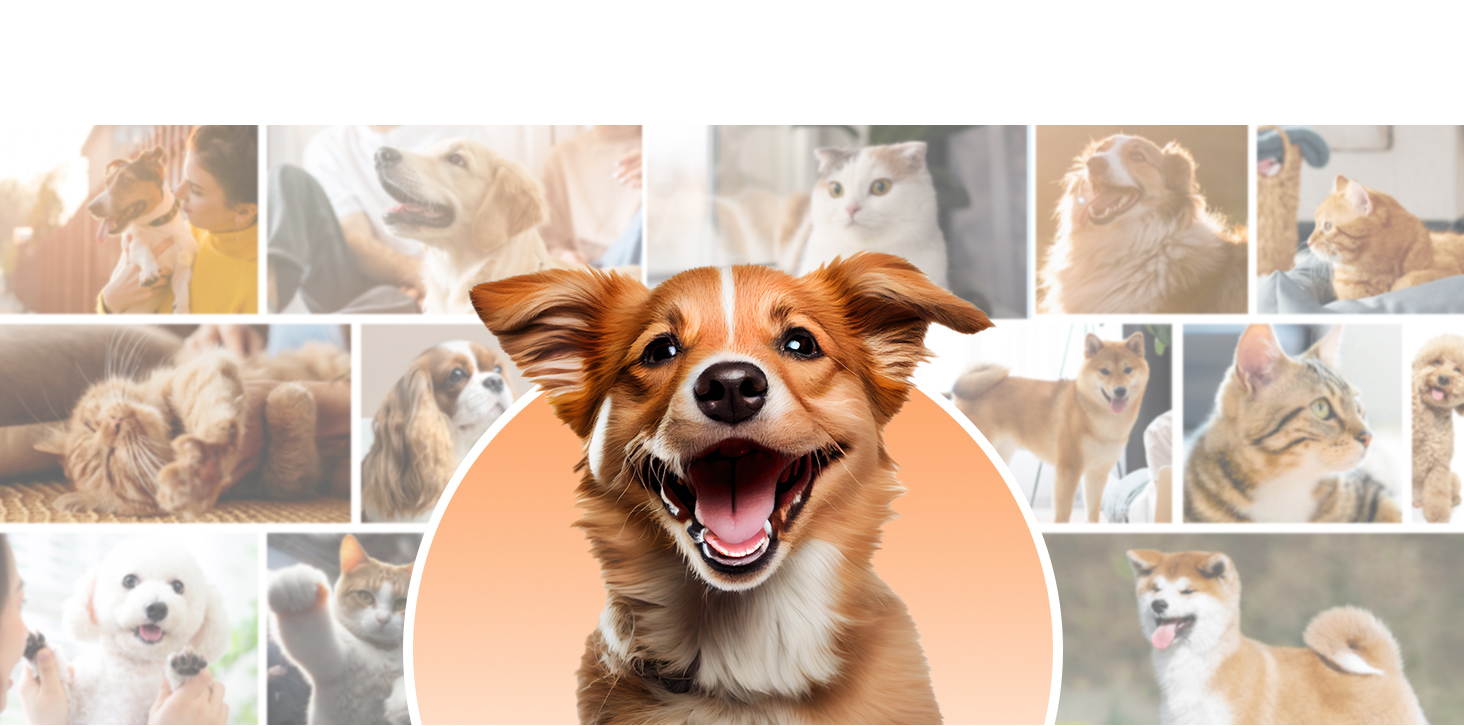 listing-breadcrumb-banner