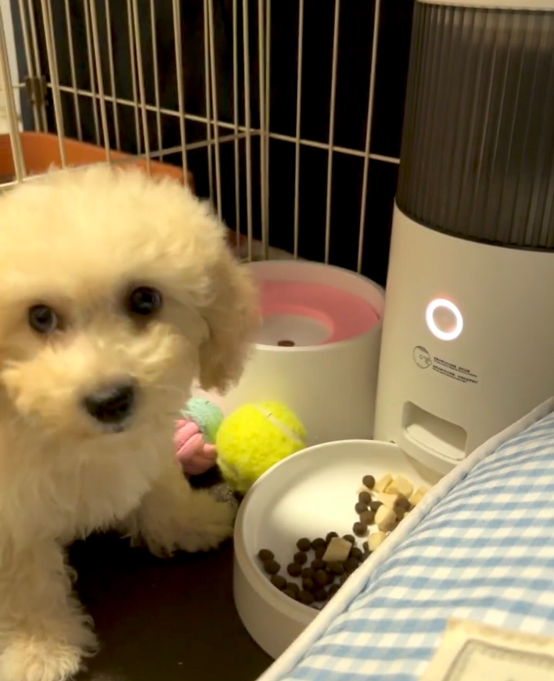 Sophie R. mit Hund Benji