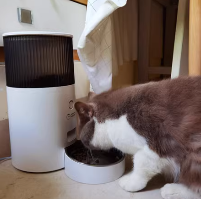 Max H. mit Katze Luna