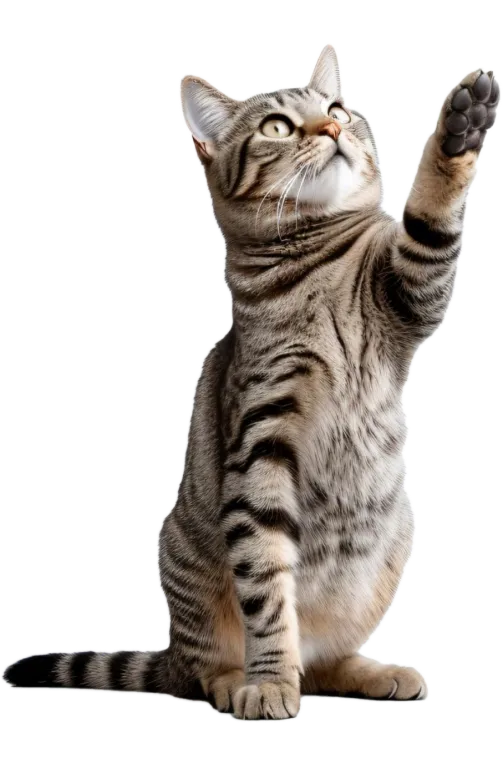 Product-slider-featured-img